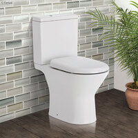 Fienza Chica Toilet Suite Close Coupled P-Trap Rimless K0123P