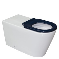 Fienza Isabella Care Back to Wall Toilet Suite, Pan + Seat + Cistern + Raised Flush Buttons P-Trap K016-RT