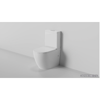 Zumi Toilet Suite Back to Wall Bathroom Two Piece Rimless Donna MB-016