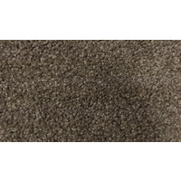 Godfrey Hirst Carpets Carpet Flooring Charade Veneer Stipple SDN 36oz 