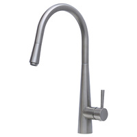 Fienza Isabella Deluxe Pull Out Gooseneck Kitchen Sink Mixer Brushed Nickel 213116BN