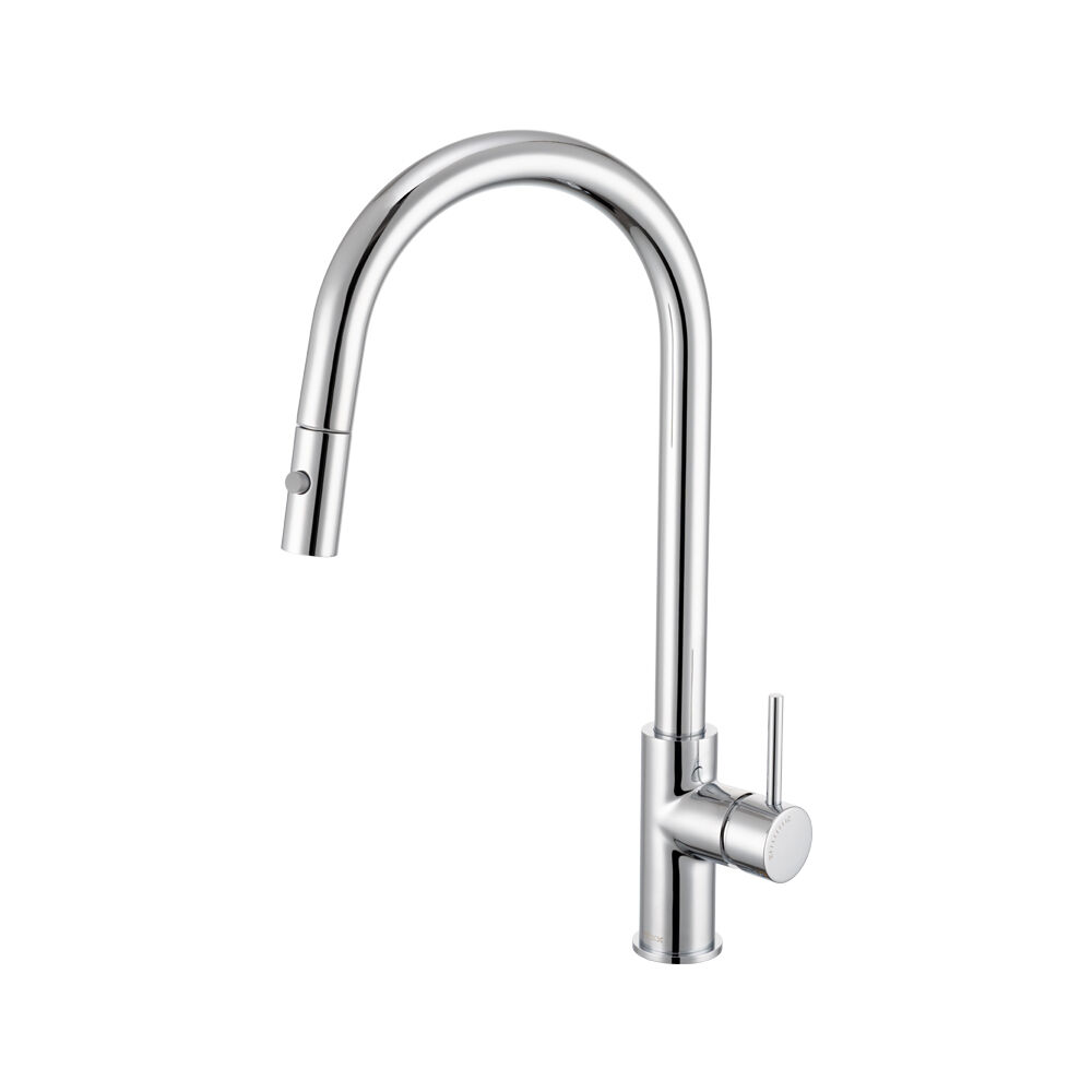 Mixx Anise Plus pull out kitchen sink mixer Chrome lead free 11SL986CLF