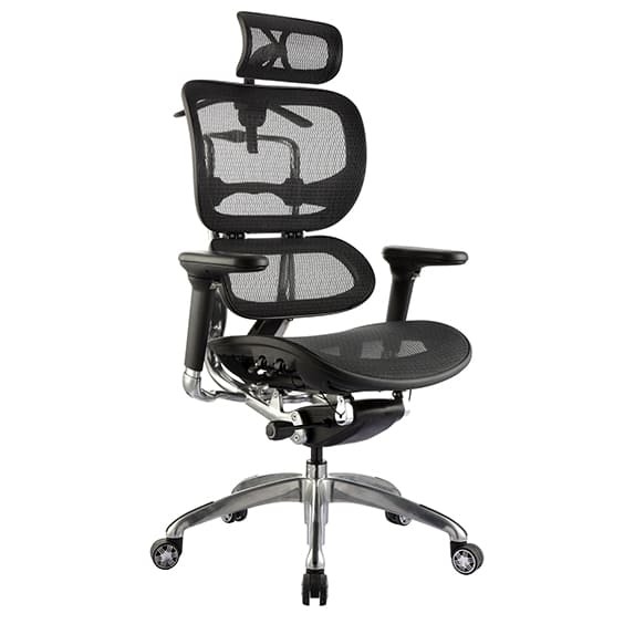 Bør Rasende overskridelsen Style Ergonomics Executive Seating High Back Chair BIFMA Tested Black ERGO1