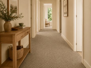 Carpeted hallway in a home showing a high traffic walking path