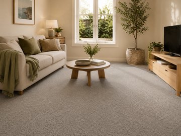 Simple neutral rental room with practical carpet and modest furniture