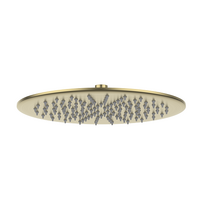 Shower Head Brushed Brass Zenmo SH RS300BB
