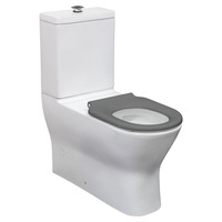 Fienza Delta Care Special Needs Back to Wall Toilet Suite P-Trap Grey Seat K013GP