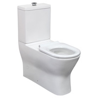Fienza Delta Care Special Needs Back to Wall Toilet Suite P-Trap Raised Buttons White Seat K013WP