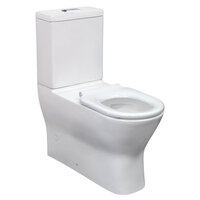 Fienza Delta Care Special Needs Back to Wall Toilet Suite P-Trap Slim Buttons White Seat K013WP-SB