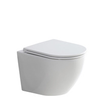 Fienza Koko Matte White Wall Hung Toilet Suite, Pan + Seat + R&T In-Wall Cistern K2376MW-RT
