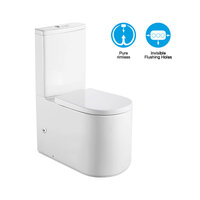 BNK Extra Length Toilet Suite Rimless Back to Wall Universal S & P Trap Installation Gloss White BL-THRONE