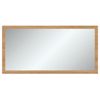 Fienza Aluca Framed Mirror 1500 x 750mm CFM1500