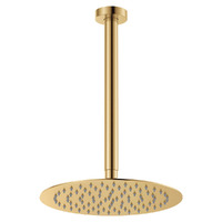 Fienza Shower Dropper Set Shower Arm and Rose Kaya Urban Brass 411125UB-C