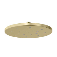 Phoenix Tapware LuxeXP Shower Rose Brushed Gold 640-5000-12