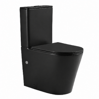 Noveen Vera Rimless Tornado Flush Back to Wall Toilet Suite Matt Black T6088RT-MB