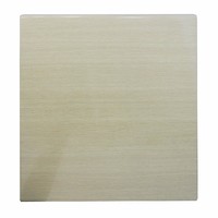 Table Top Anti Scratch Outdoor Square 600mm UV Washed Oak