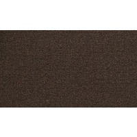 Godfrey Hirst Carpets Tuscon Santa Catalinas Nylon Carpet PLM