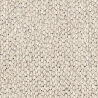 Balmain Rye 510 Godfrey Hirst Solution Dyed Nylon Chunky Loop Carpet Flooring Broadloom Cream