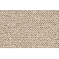 Balmain Lotus 520Godfrey Hirst Solution Dyed Nylon Chunky Loop Carpet Flooring Broadloom BROWN
