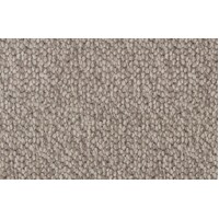 Balmain Ashwood 560 Godfrey Hirst Solution Dyed Nylon Chunky Loop Carpet Flooring Broadloom GREY BEIGE