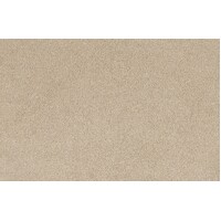 Cocol Bliss 9042 Felicity Beige Residential Twist Pile Heavy Duty SDN Carpet Flooring Broadloom 