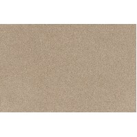 Cocol Bliss 9043 Joy Light Brown Residential Twist Pile Heavy Duty SDN Carpet Flooring Broadloom