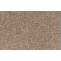 Cocol Bliss 9031 Epiphany Latte Brown Residential Twist Pile Heavy Duty SDN Carpet Flooring Broadloom