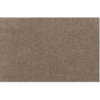 Cocol Bliss 9012 Euphoria Coffee Brown Residential Twist Pile Heavy Duty SDN Carpet Flooring Broadloom