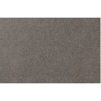 Fiesta Earthstone 185 Grey Brown Godfrey Hirst Carpets Solution Dyed Nylon Twist Pile Residential Carpet Flooring