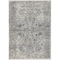 Asterya 18758110 Modern Vintage Rug Polyester Border 200cm x 290cm Soft Grey