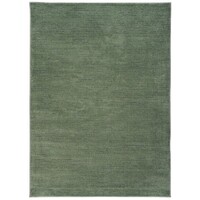 Nori Rug Mos Rugs 200cm x 290cm Soft Plush soft Floor Area Carpet Green