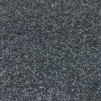 Signature Floors Wall to Wall Carpet Flooring SDN Heavy Duty Florian Gentle Willow 96
