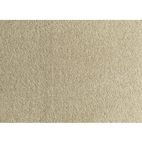Victoria Carpets Wall to Wall Carpet Flooring 80 - 20 Wool Synthetic Tudor Twist Pageant