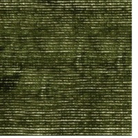 Hampton Coastal Mos Rugs Viscose & Wool Rug 155cm x 225cm Green & White