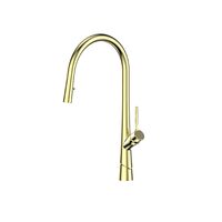 Greens Tapware Kitchen Sink Mixer Swivel Tap Pull-Down Lustro Brushed Brass 195025461
