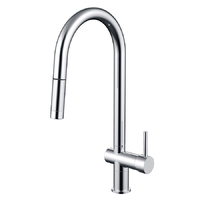 Best BM Pull Out Kitchen Sink Mixer Chrome Faucet BTP02 WELS 5 Star Rating