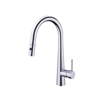 Nero Tapware Dolce Pull Out Sink Mixer Vegie Spray Function Chrome NR581009cCH