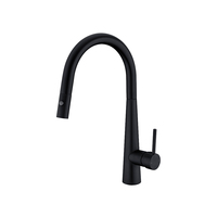 Nero Tapware Dolce Pull Out Sink Mixer With Vegie Spray Function Matte Black NR581009cMB