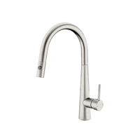 Nero Tapware Dolce Pull Out Sink Mixer With Vegie Spray Function Gun Metal NR581009cGM