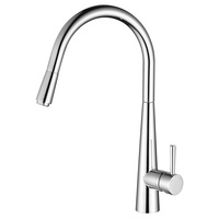 Fienza Isabella Deluxe Pull Out Gooseneck Kitchen Sink Mixer Chrome 213111