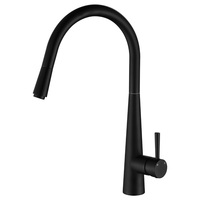 Fienza Hustle Deluxe Gooseneck Kitchen Sink Pull Out Mixer Matte Black Pin Lever 213116MB