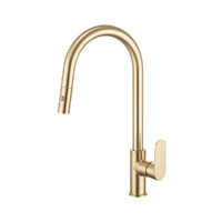 Brasshards Mixx Saffronn Gooseneck Pull Out Kitchen Sink Mixer Tap Brushed Gold Lead Free 11SL987ALF