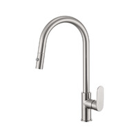 Brasshards Mixx Saffronn Gooseneck Pull Out Kitchen Sink Mixer Tap Brushed Nickel Lead Free 11SL987BLF