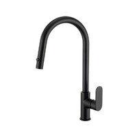 Brasshards Mixx Saffronn Gooseneck Pull Out Kitchen Sink Mixer Tap Matte Black Lead Free 11SL987MLF