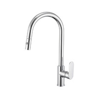 Brasshards Mixx Saffronn Gooseneck Pull Out Kitchen Sink Mixer Tap Chrome Lead Free 11SL987CLF