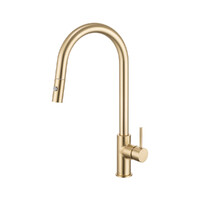 Brasshards Mixx Anise Plus Pull Out Gooseneck Kitchen Sink Mixer Tap Brushed Gold Lead Free 11SL986ALF
