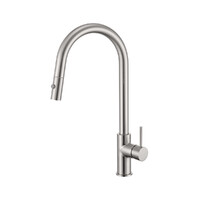 Brasshards Mixx Anise Plus Pull Out Gooseneck Kitchen Sink Mixer Tap Brushed Nickel Lead Free 11SL986BLF