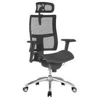 Style Ergonomics Executive Seating High Back Chair Adjustable Black ZODIAC-H