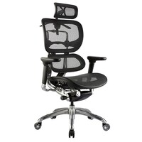 Style Ergonomics Executive Seating High Back Chair Replica Herman Miller BIFMA Tested Black ERGO-1H