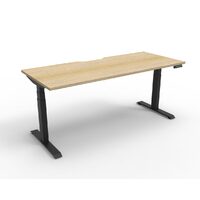 Electronic Sit Stand Desk Single Sided Workstation 1200mm Office Furniture AFRDI Cert B+1P1275